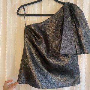 Zara One Shouldered Metallic Top Size M